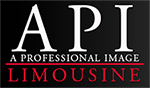 API Global Logo